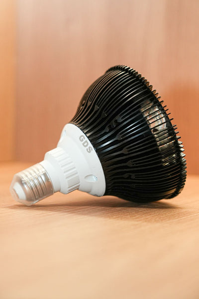 Red & Infrared Light Lamp