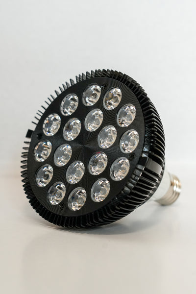 Red & Infrared Light Lamp